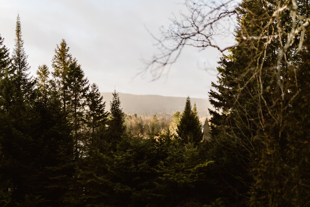 Yoga O Couvent | 2062 Chem. de la Gare, Val-Morin, QC J0T 2R0, Canada | Phone: (438) 828-6907
