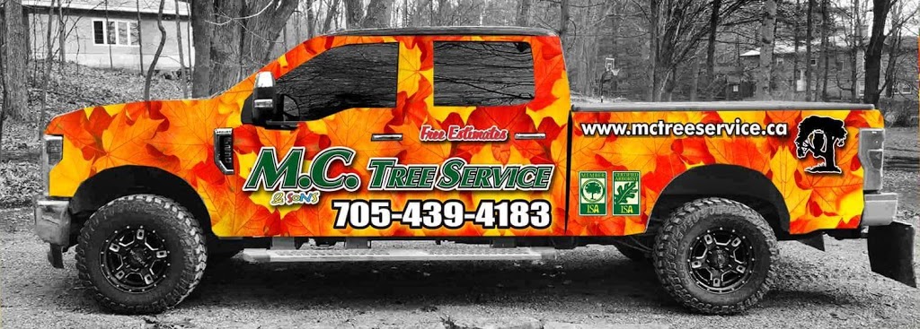 M.C. Tree Service Ltd. | 1018 Palestine Rd, Woodville, ON K0M 2T0, Canada | Phone: (705) 439-4183