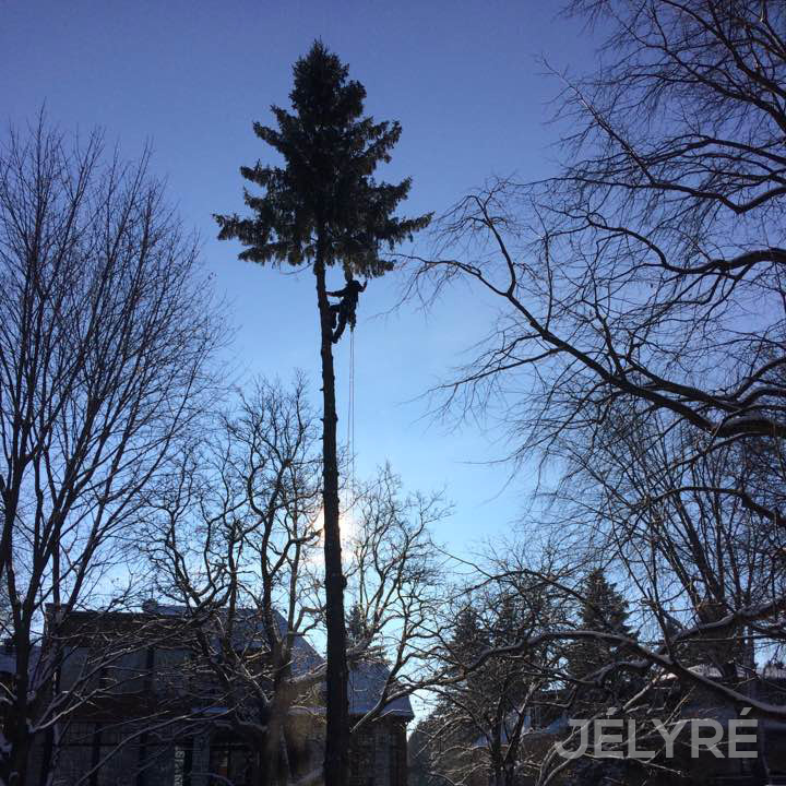 Gestions Jélyré Inc (Les) | 4190 Chem. Martin, Terrebonne, QC J6X 0B2, Canada | Phone: (450) 477-0556