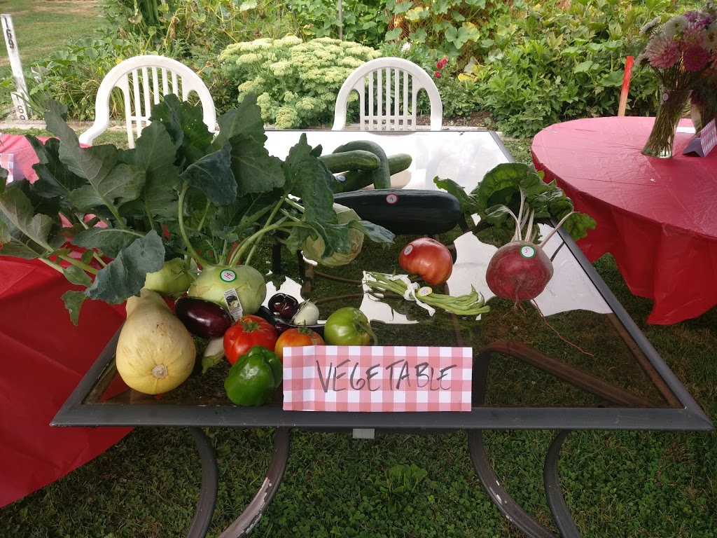 Community Garden | 6012-7528 Meadow Ave, Burnaby, BC V3N 1Y6, Canada