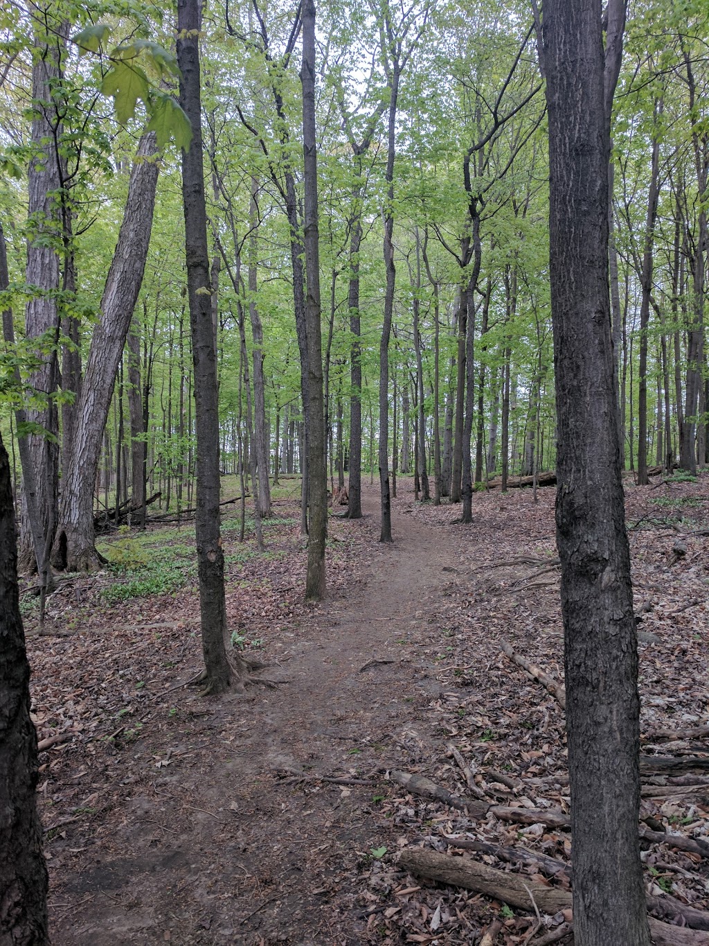 Trailview Park | Forest Heights, Kitchener, ON N2N, Canada | Phone: (519) 741-2345