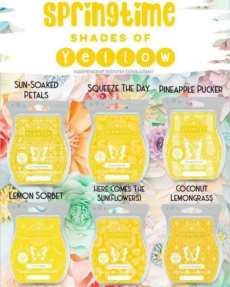 Rose-Annas Independent Scentsy | 6 East Ave, St Thomas, ON N5R 3S8, Canada | Phone: (519) 933-4237