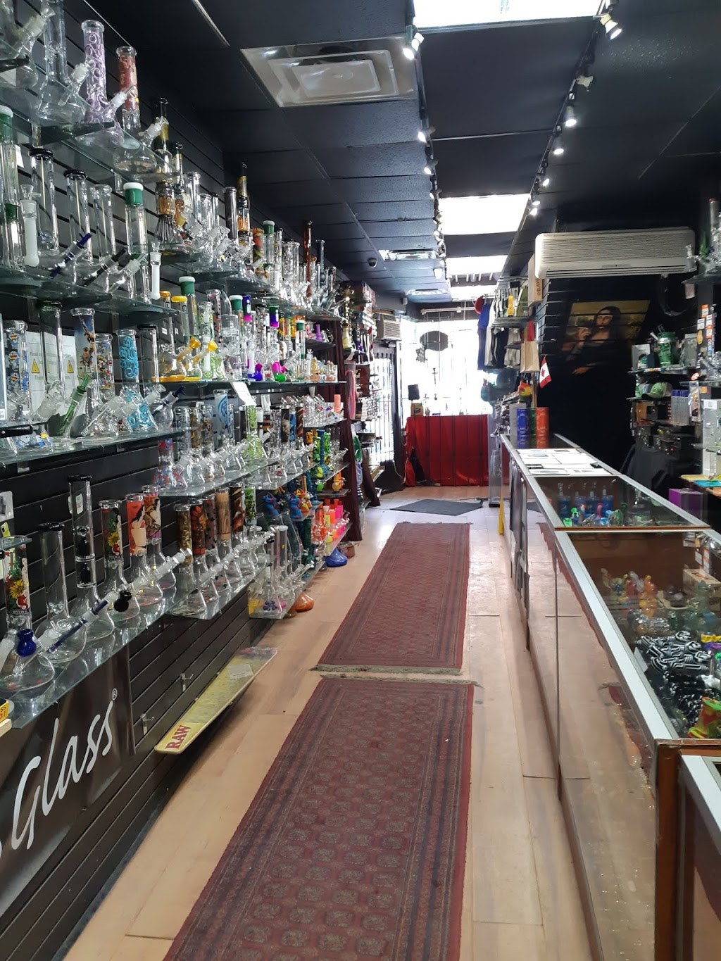 420 ZONE Inc | 499 Bloor St W, Toronto, ON M5S 2M7, Canada | Phone: (416) 792-7774
