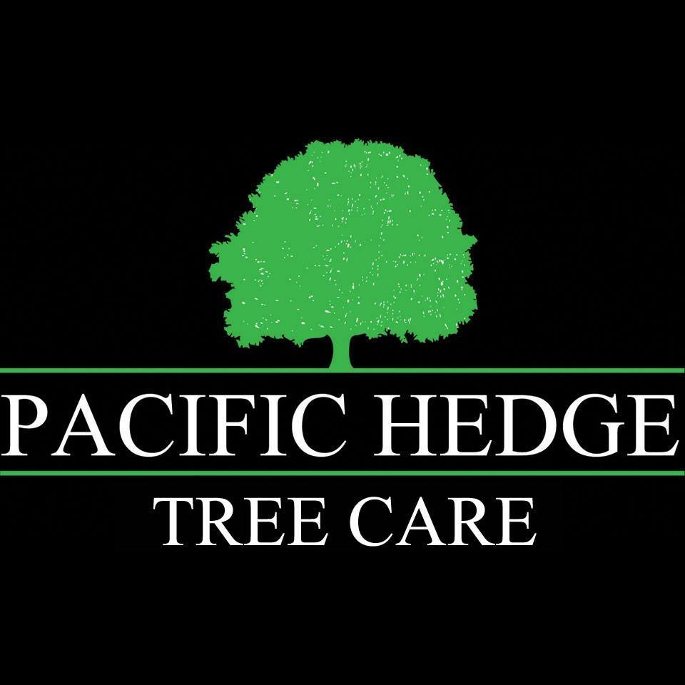 Pacific Hedge Tree Care | 20560 66 Ave #6, Langley, BC V2Y 2Y8, Canada | Phone: (778) 999-8996