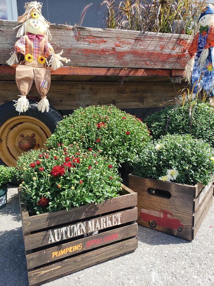 Sunderland Landscape Supplies | 53 Albert St N, Sunderland, ON L0C 1H0, Canada | Phone: (705) 357-9999