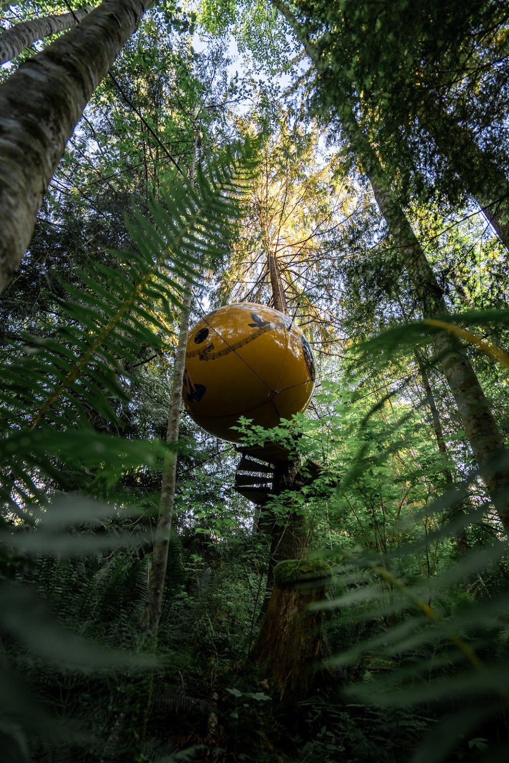 Free Spirit Spheres | 420 Horne Lake Rd, Qualicum Beach, BC V9K 1Z7, Canada | Phone: (250) 757-9445