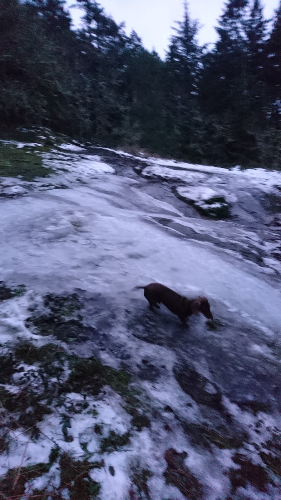 Bear Hill Regional Park - Main Parking Lot | Bear Hill Rd, Saanich, BC V9E 2J3, Canada