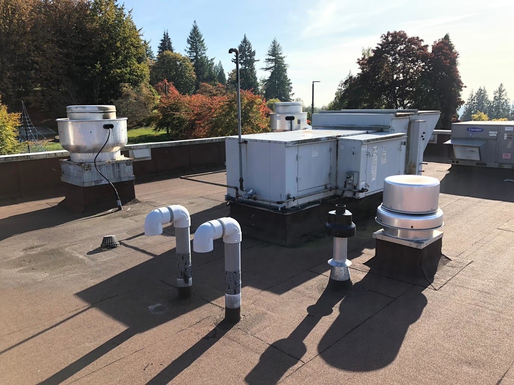 Pipe Rite Mechanical | 11126 Beverly Dr, Delta, BC V4C 3B4, Canada | Phone: (604) 584-6652