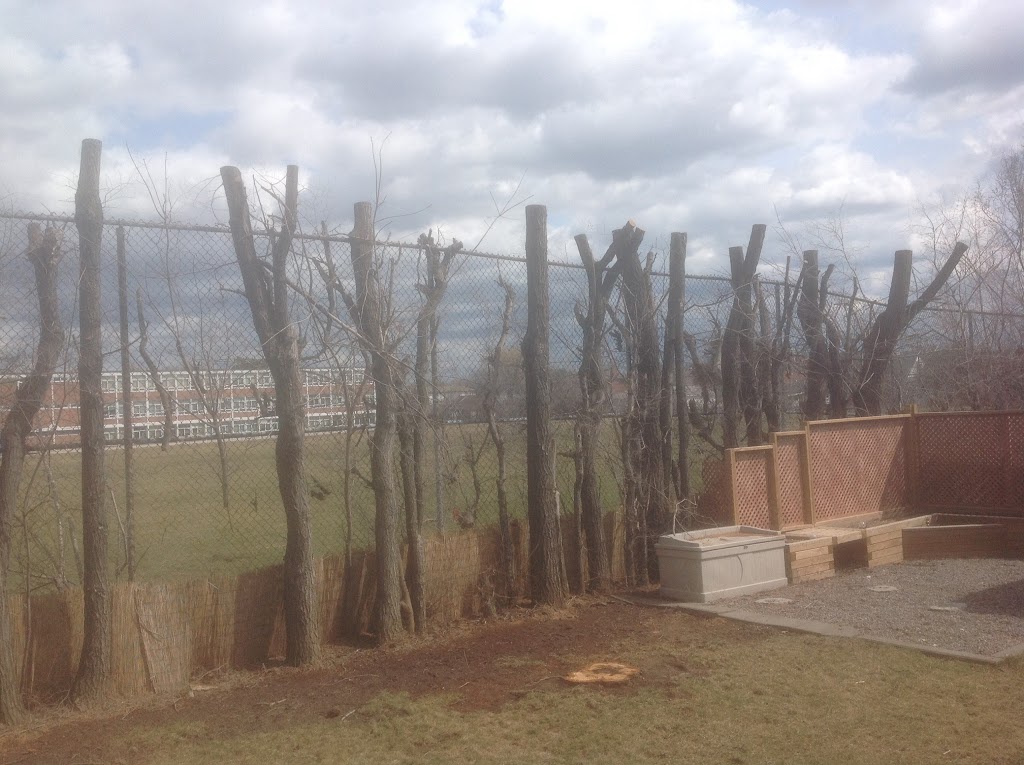 Perry Rose Tree Service and Landscaping | 357 Carlissa Run, Newmarket, ON L3X 3K1, Canada | Phone: (647) 922-8733