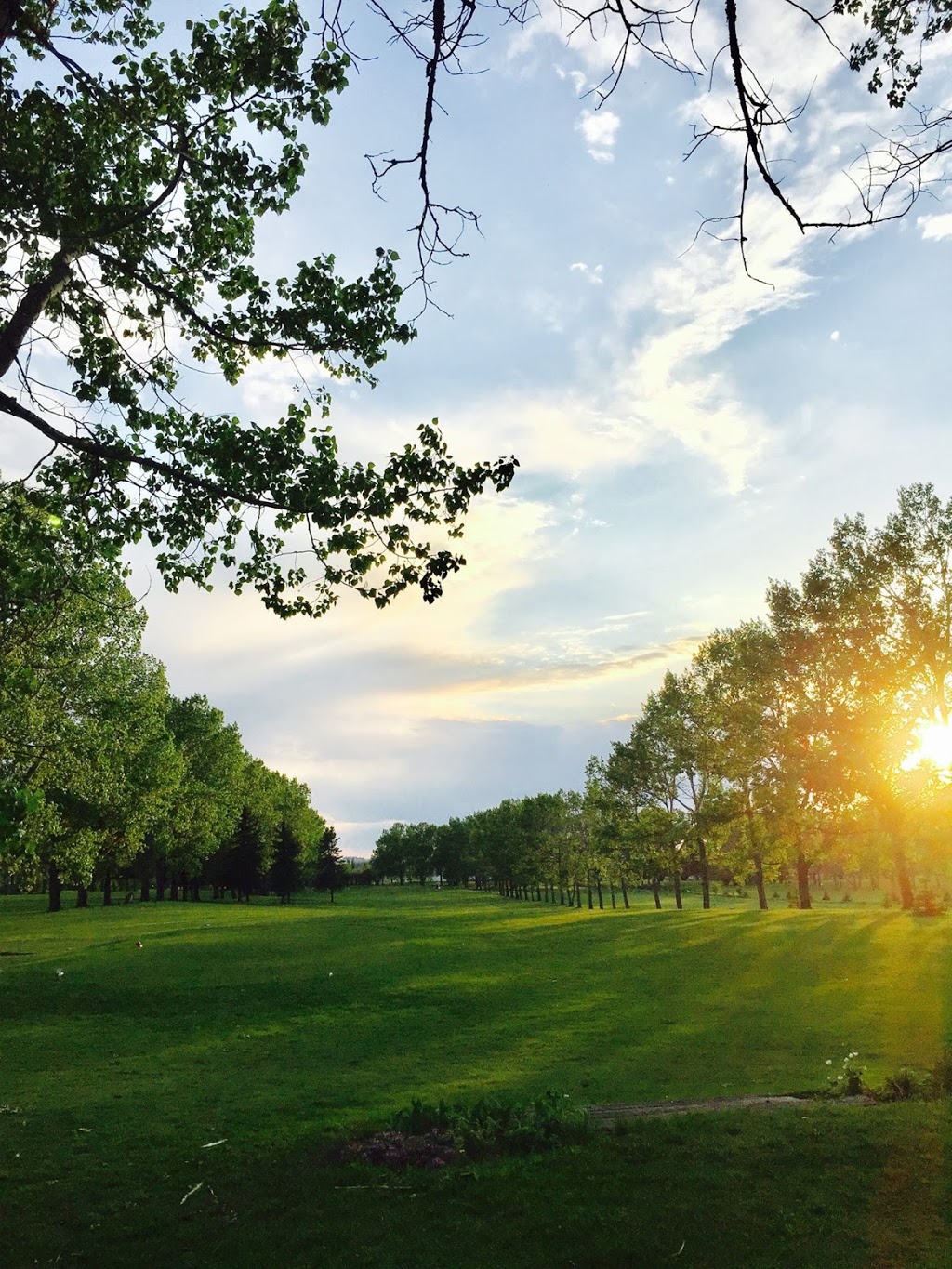 Bowden Hi-Way Golf Course | 2313 17 Ave, Bowden, AB T0M 0K0, Canada | Phone: (403) 224-2121