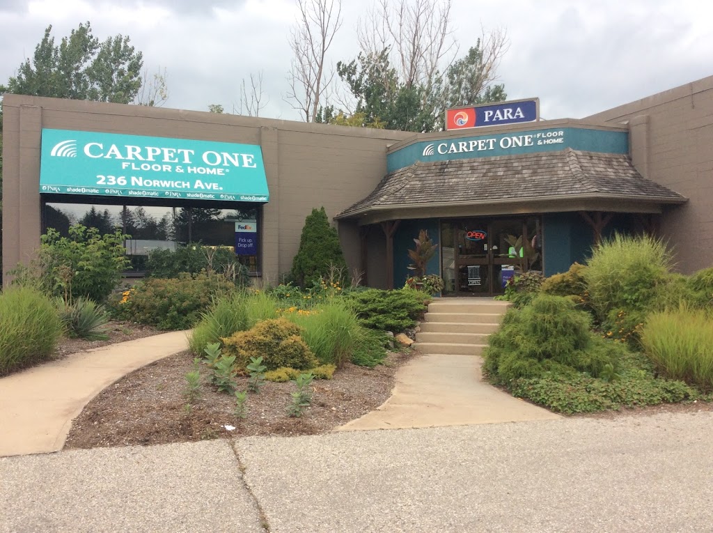 Carpet One Floor & Home | 236 Norwich Ave, Woodstock, ON N4S 3V9, Canada | Phone: (519) 536-9618