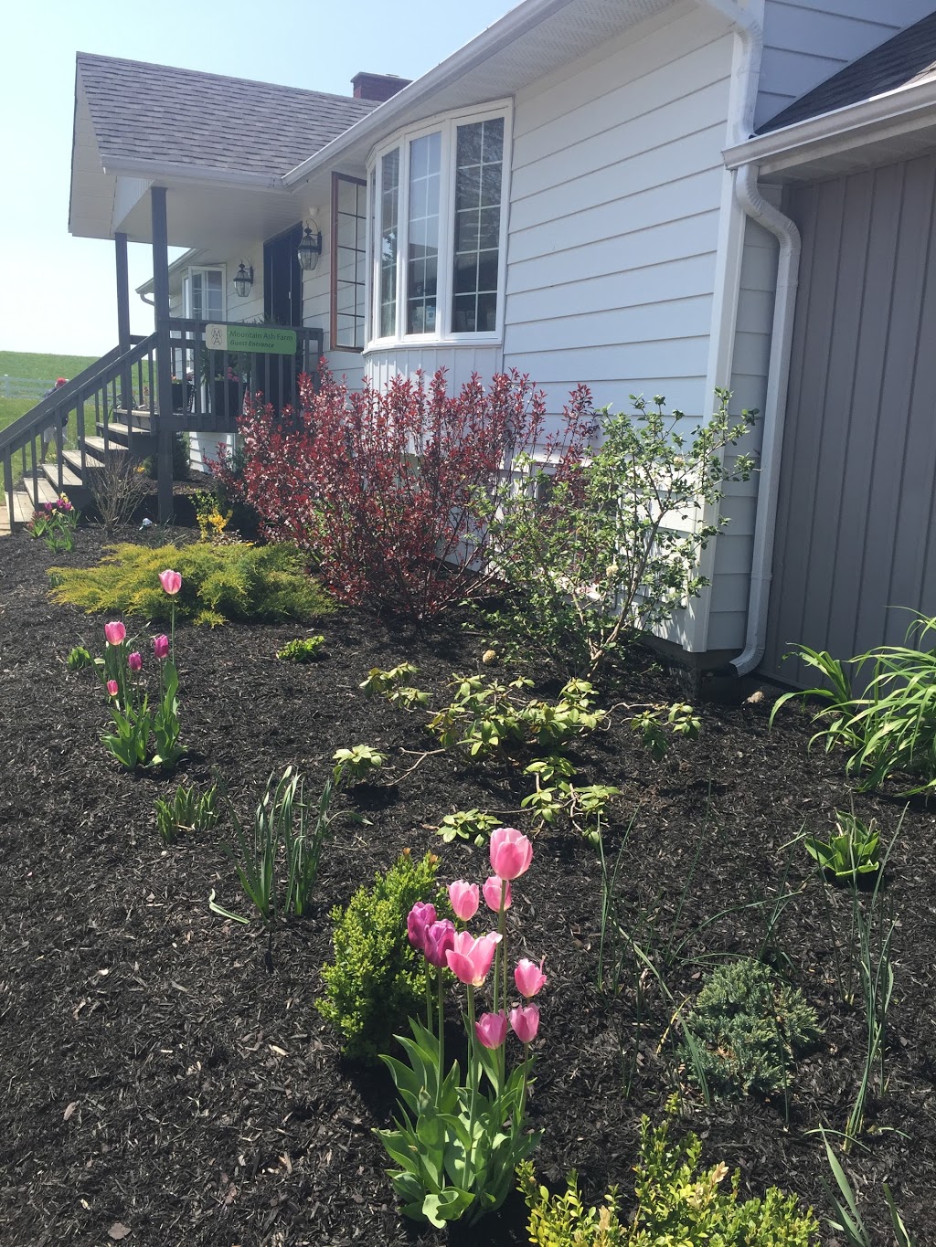 Mountain Ash Farm Hospitality | Glencairn, ON L0N 1M0, Canada | Phone: (705) 466-2520