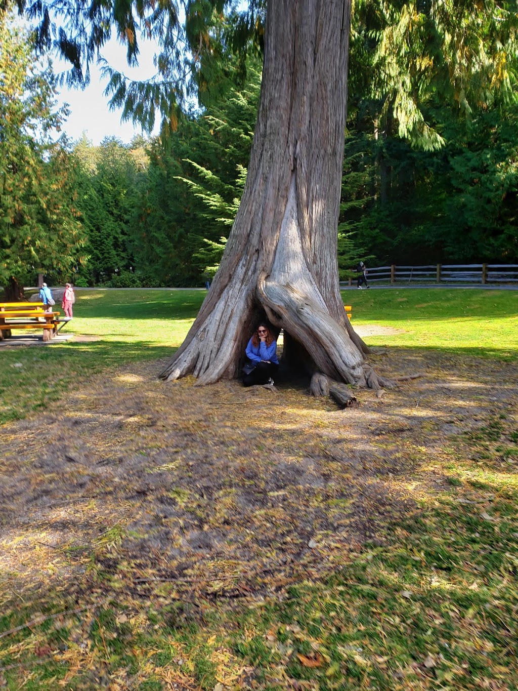 Meditation Guru | 8458 144 St, Surrey, BC V3W 5T7, Canada | Phone: (604) 614-9078