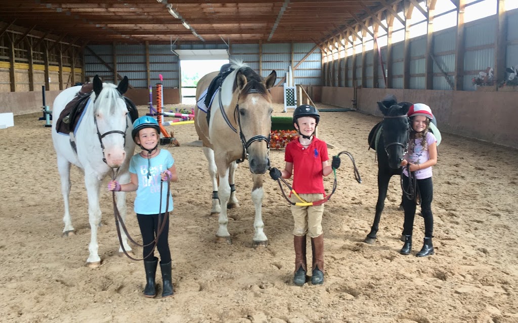 Ridgedale Equestrian (East) | 342 Kemp Rd W, Grimsby, ON L3M 4E7, Canada | Phone: (905) 979-8140