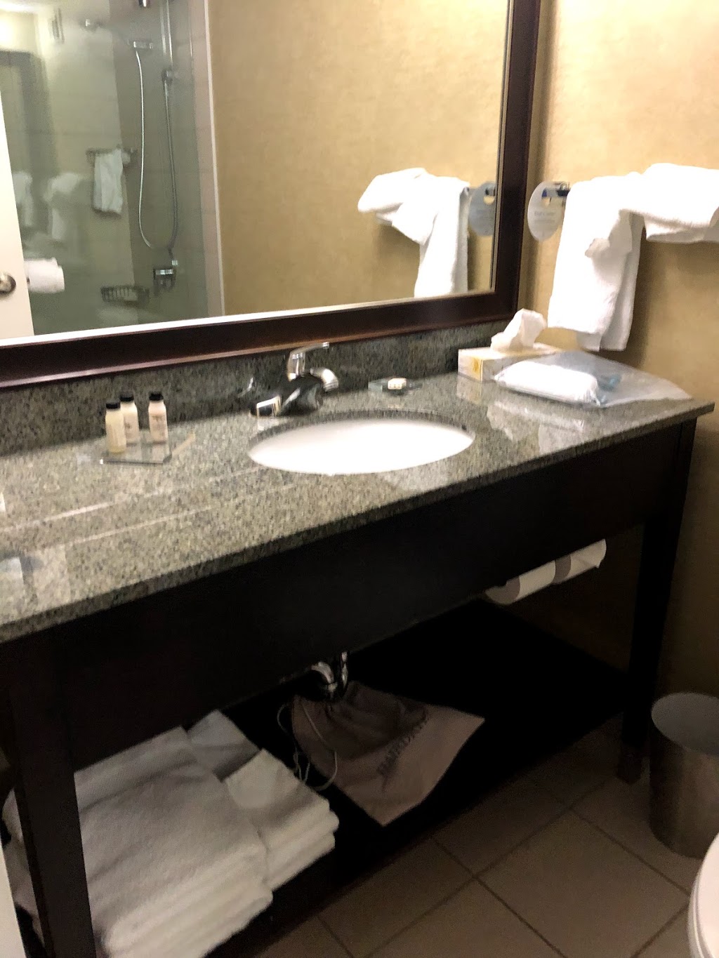 Delta Hotels by Marriott Saskatoon Downtown | 405 20th St E, Saskatoon, SK S7K 6X6, Canada | Phone: (306) 665-3322