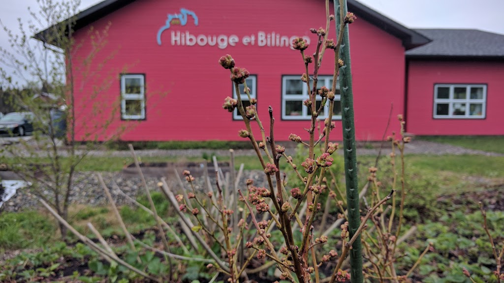 Garderie Maternelle Hibouge et Bilingo | 100 Rue De La Baronne, Stoke, QC J0B 3G0, Canada | Phone: (819) 543-2543