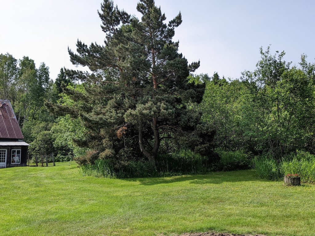Gîte du Moqueur-Chat | 145 Rang 6e, Saint-Antonin, QC G0L 2J0, Canada | Phone: (418) 867-2216