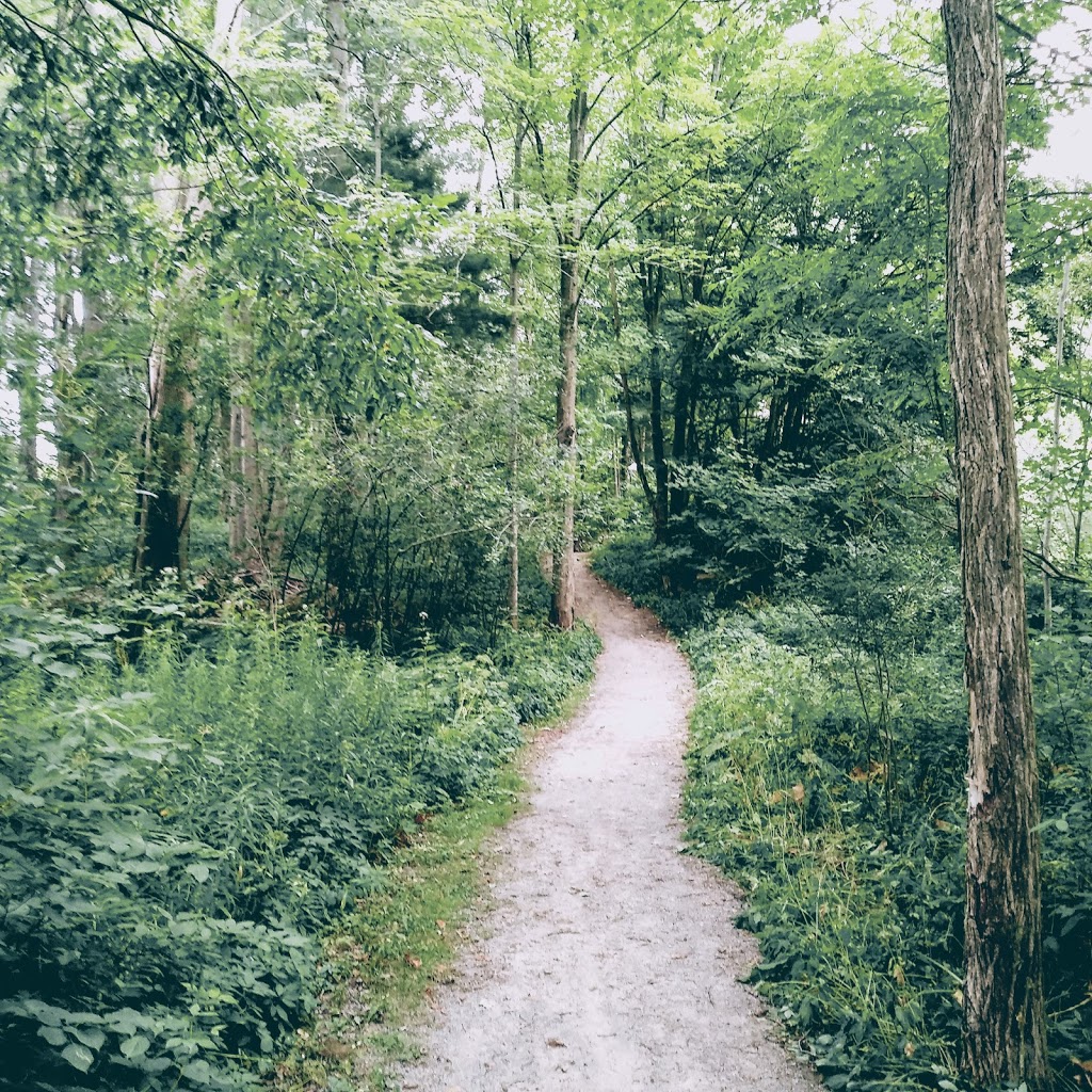 Bruce Trail | Unnamed Road, Fonthill, ON L0S 1E6, Canada