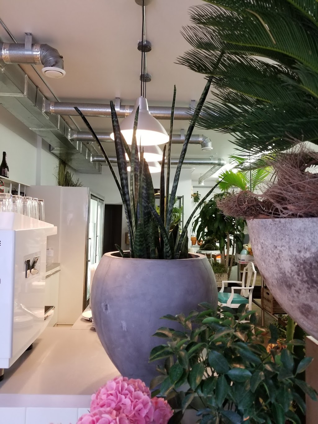 blumenstudio | 1395 Wellington St. W, Ottawa, ON K1Y 2X1, Canada | Phone: (613) 680-8400