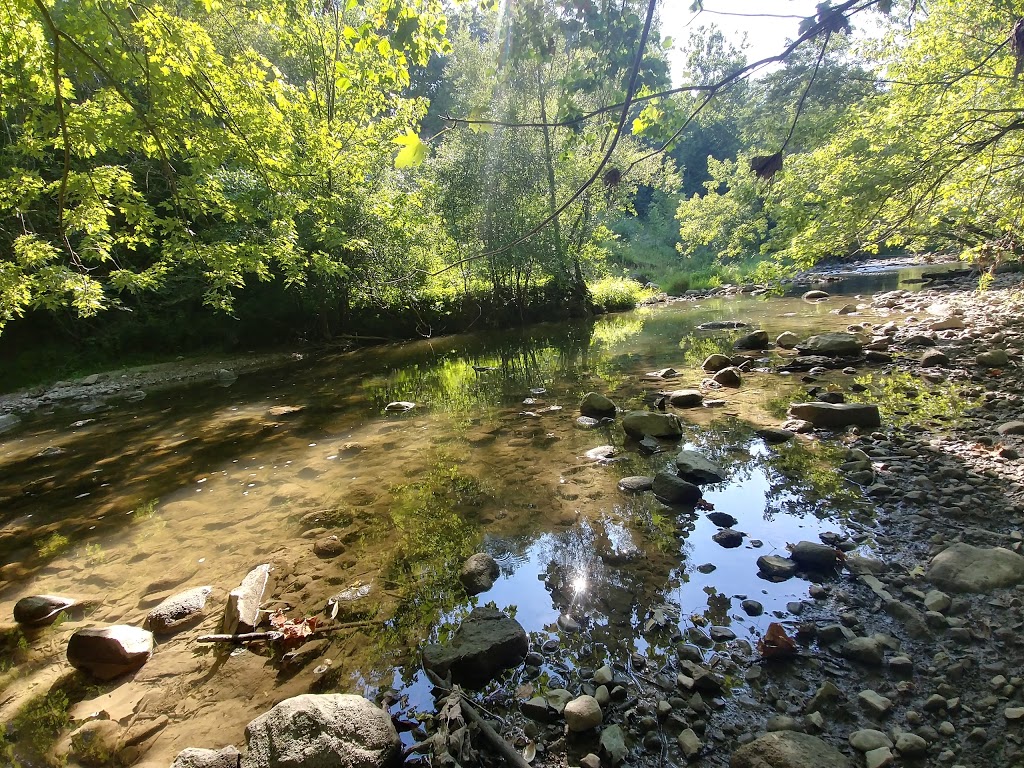Medway Valley Heritage Forest | London, ON N6G 3M6, Canada | Phone: (519) 661-4500