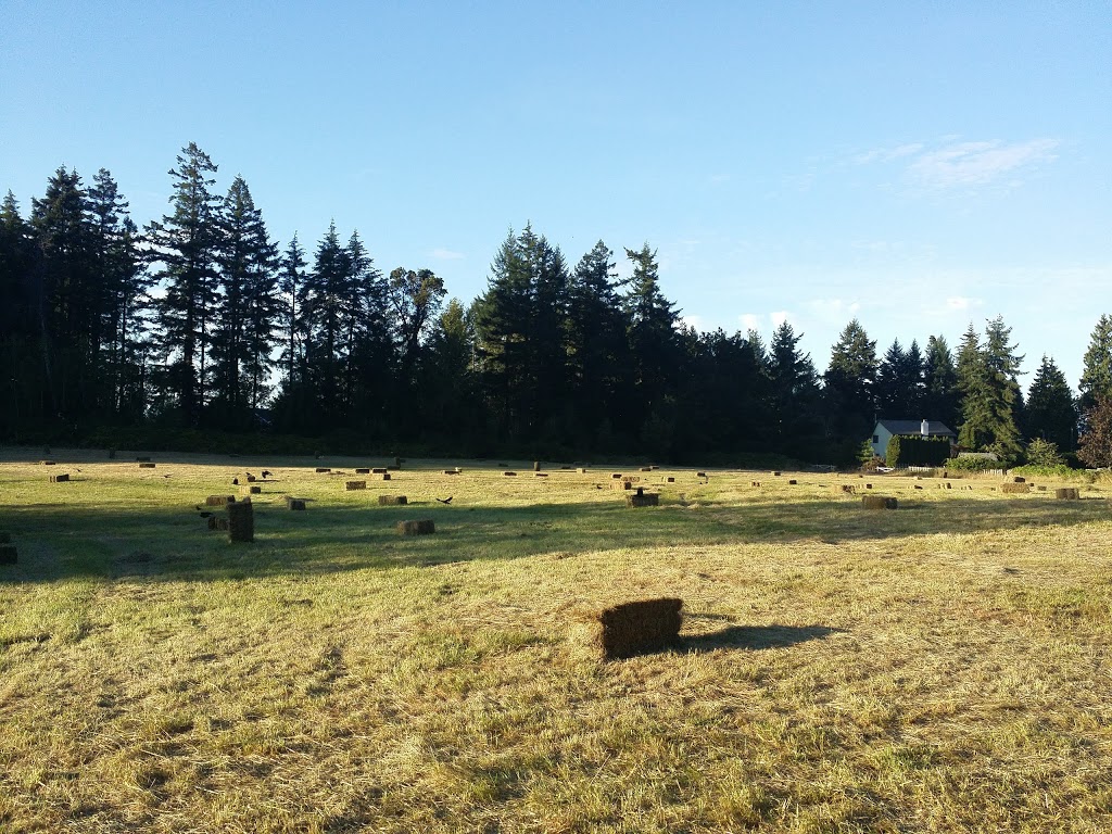 Pyramid Stables | 7581 Harby Rd W, Lantzville, BC V0R 2H0, Canada | Phone: (250) 390-7631
