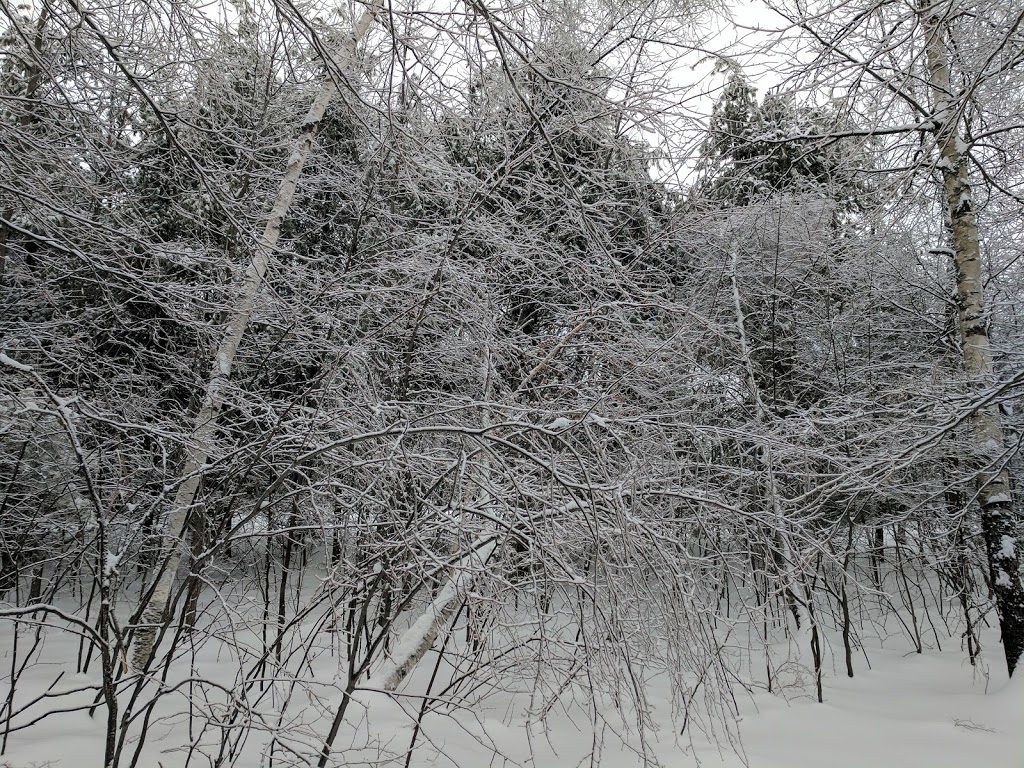 Parc de la Promenade | 1163 Rue de la Promenade, Saint-Jérôme, QC J5L 2E4, Canada | Phone: (450) 436-1511
