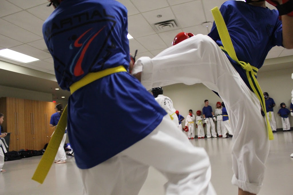 Destiny Martial Arts | 7555 Falconridge Blvd NE #10, Calgary, AB T3J 0C9, Canada