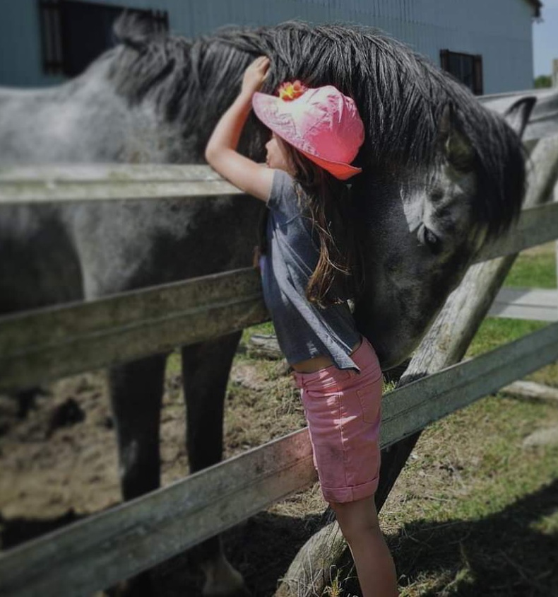 Raven Equestrian | 3816 Mountain Rd, Beamsville, ON L0R 1B2, Canada | Phone: (289) 441-6723
