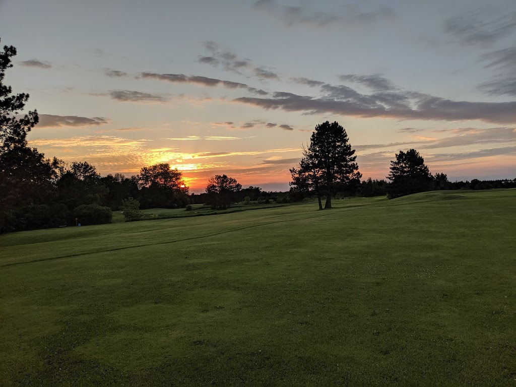 Oshawa Airport Golf Club | 1145 Thornton Rd N, Oshawa, ON L1H 7K4, Canada | Phone: (905) 723-5175