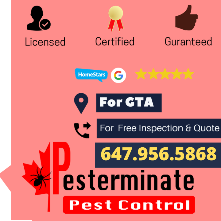 Pesterminate Inc | 78 Dalmatian Crescent, Scarborough, ON M1C 4W6, Canada | Phone: (647) 956-5868