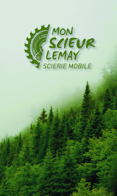 Mon Scieur Lemay | 115 Mnt Brien, Lac-Supérieur, QC J0T 1J0, Canada | Phone: (819) 527-0037