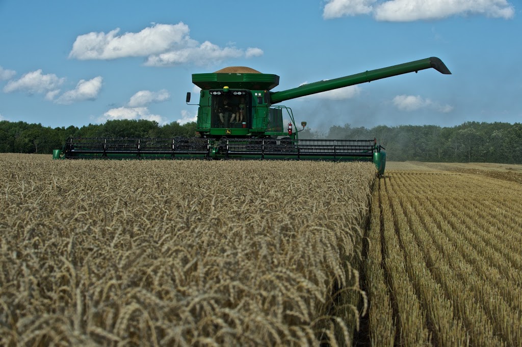 Dietrich Commodities Inc. | 33956 Roman Line, Lucan, ON N0M 2J0, Canada | Phone: (519) 318-3947