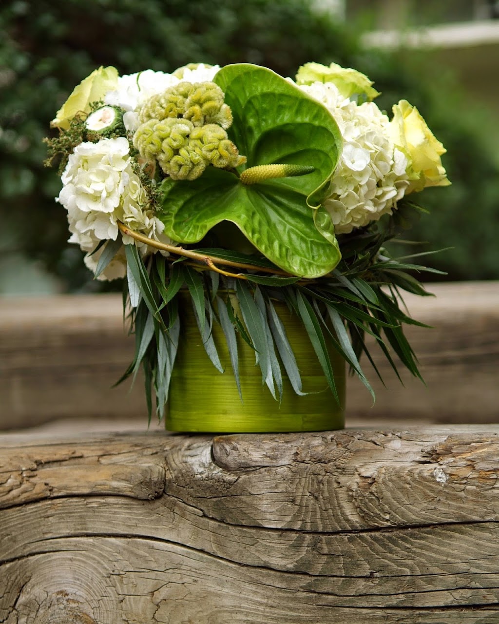 Mondu floral design | 2412 Kingston Rd, Scarborough, ON M1N 1V2, Canada | Phone: (647) 428-7210