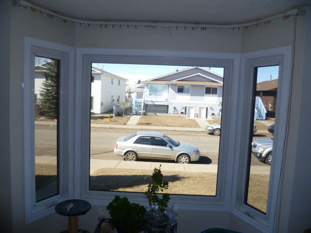 Ecoline Windows and Doors Winnipeg | 1333 Niakwa Rd E #12, Winnipeg, MB R2J 3T5, Canada | Phone: (204) 500-1435