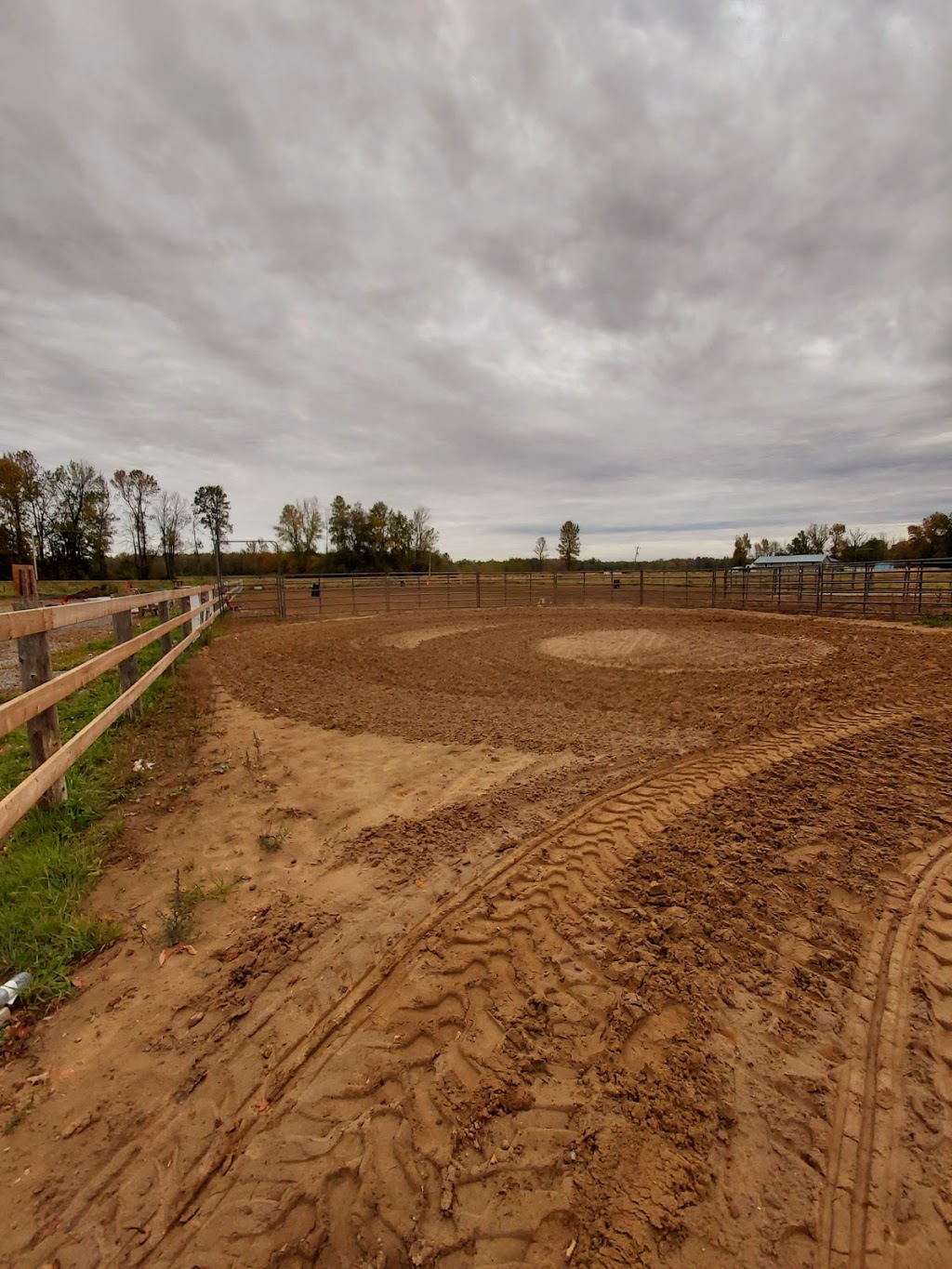 Sherwood Farms | 4419 Kilkenny Rd, Lyn, ON K0E 1M0, Canada | Phone: (613) 556-0466