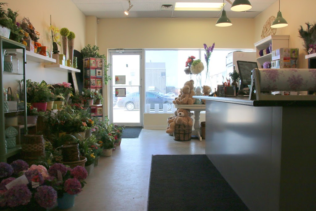 Dragonfly Flowers | 2230 McPhillips St, Winnipeg, MB R2V 3C8, Canada | Phone: (204) 633-5200