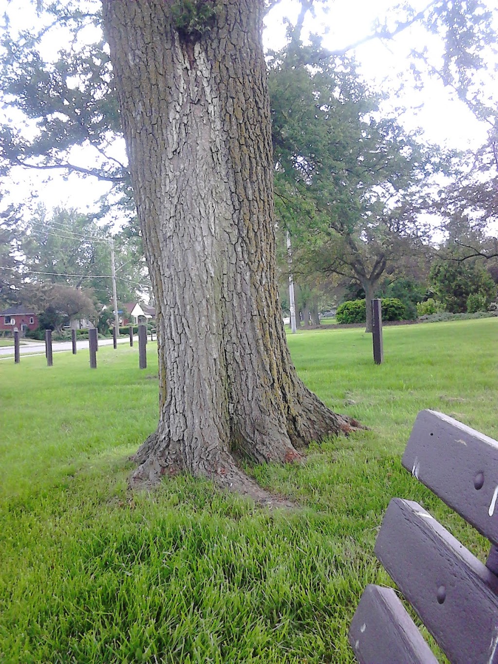 Highview Park | 150 Highview Ave, Scarborough, ON M1N, Canada | Phone: (416) 392-2489