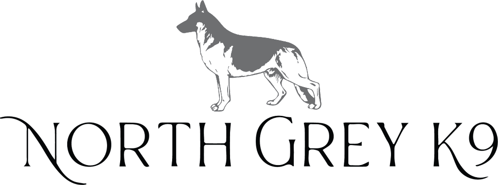 North Grey K9 | 2020 20th St E Unit # 6,7,8,9, Owen Sound, ON N4K 5N3, Canada | Phone: (519) 939-6280