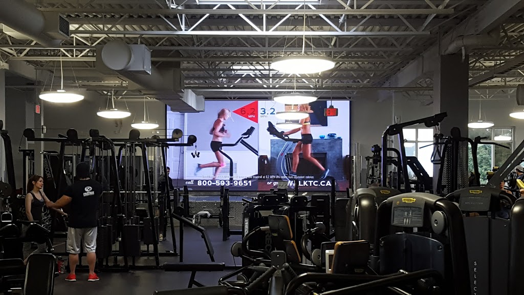 Leader LED Display Solutions | 115-6091 Dyke Rd, Richmond, BC V7E 3R3, Canada | Phone: (604) 285-5010