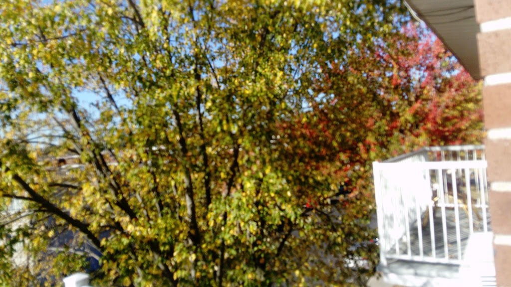 Parc Cavelier-de-Lasalle | Avenue Fothergill, Montréal, QC H8R 2W7, Canada | Phone: (514) 367-6361