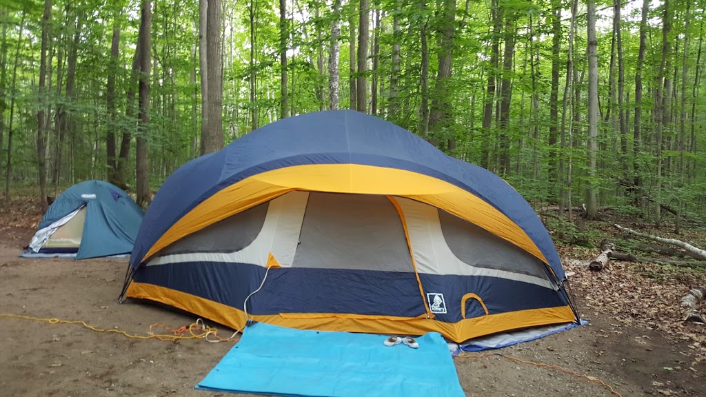 Hawk Campground | Tiny, ON L9M 1R2, Canada | Phone: (800) 668-2746