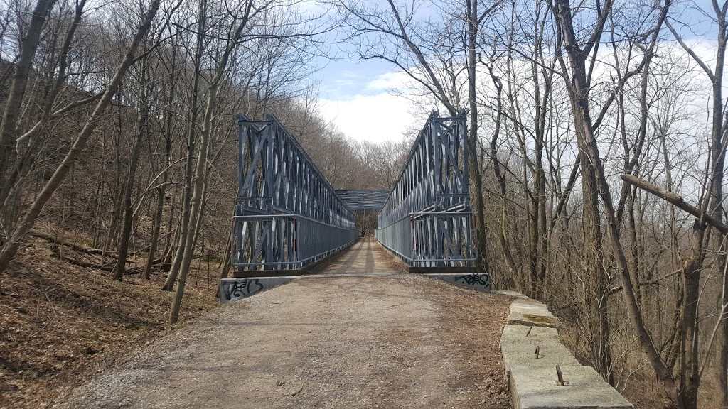 Mountview Waterfall | 985 Scenic Dr, Hamilton, ON L9C 1H7, Canada