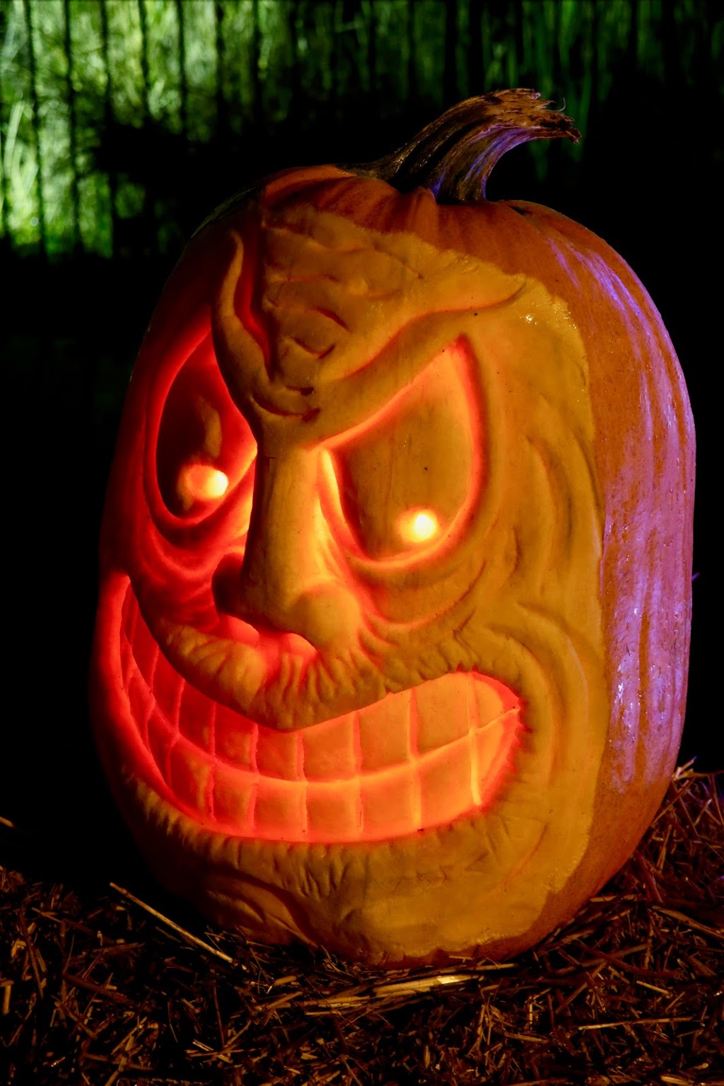 VanDusen Glow in the Garden | 5251 Oak St, Vancouver, BC V6M 4H1, Canada | Phone: (604) 878-9274
