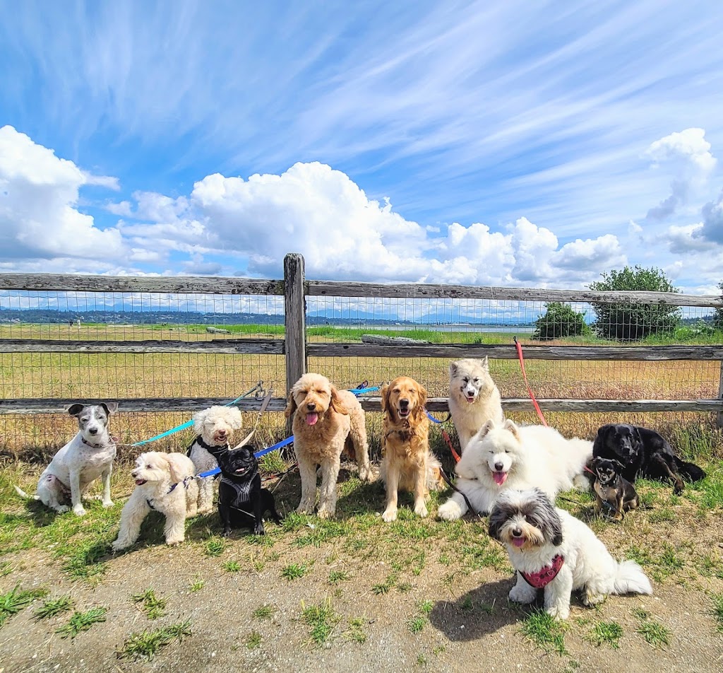 Dog Days Dog Walking | Crescent Rd, Surrey, BC V4A 5R7, Canada | Phone: (506) 470-8856