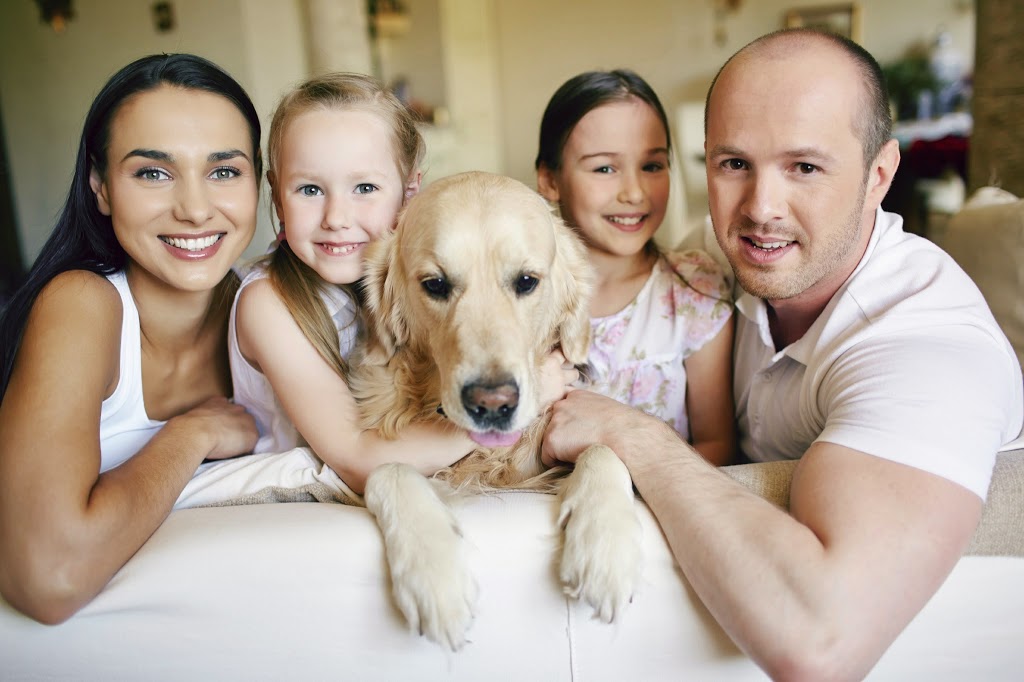 VCA Canada Riverbend Animal Hospital | 8338 18 St SE #354, Calgary, AB T2C 4L5, Canada | Phone: (403) 279-8747