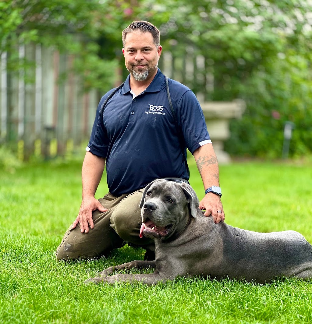 Boss Co Dog training and rehabilitation | 45 Robertson Dr, Stratford, ON N5A 0J6, Canada | Phone: (416) 903-1124