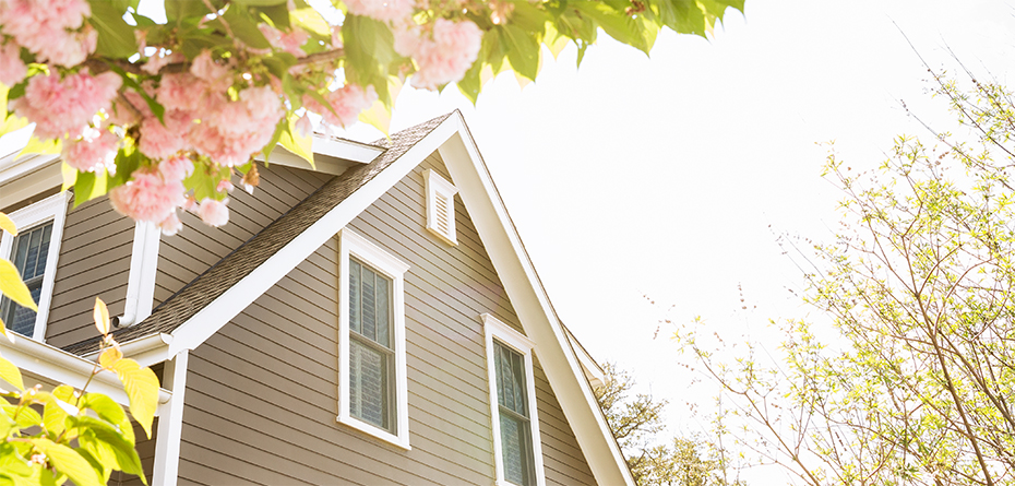 Alpine Painting | 2651 Huntington St, Bellingham, WA 98226, USA | Phone: (360) 527-5043