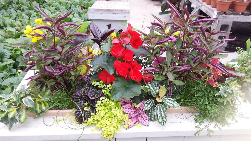 The Greenery Garden Centre | 2507 Longhill Rd, Kelowna, BC V1V 2G5, Canada | Phone: (250) 762-7411