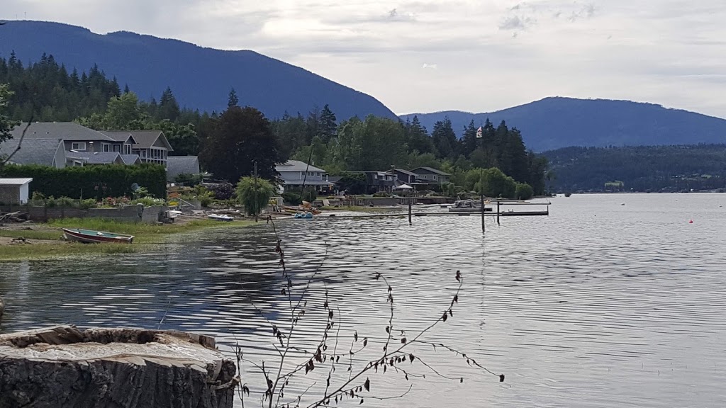 Canoe Village Market | 7390 50 St NE, Canoe, BC V0E 1K0, Canada | Phone: (250) 804-4800