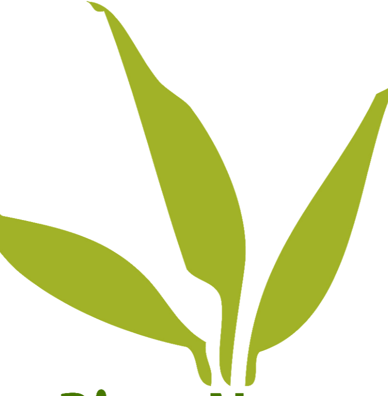 Green River Natural Health | 7626 Doner Dr, Washago, ON L0K 2B0, Canada | Phone: (705) 689-6395